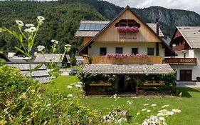 Trisa Apartments Bohinj