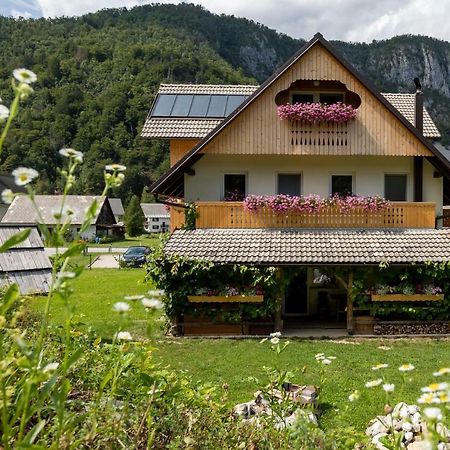 Trisa Apartments Bohinj Buitenkant foto