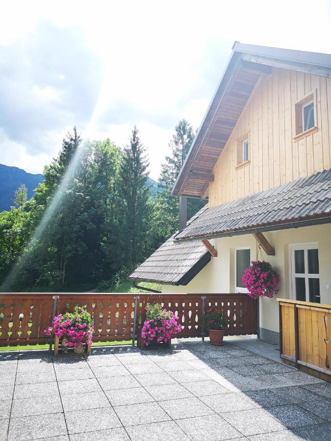 Trisa Apartments Bohinj Buitenkant foto