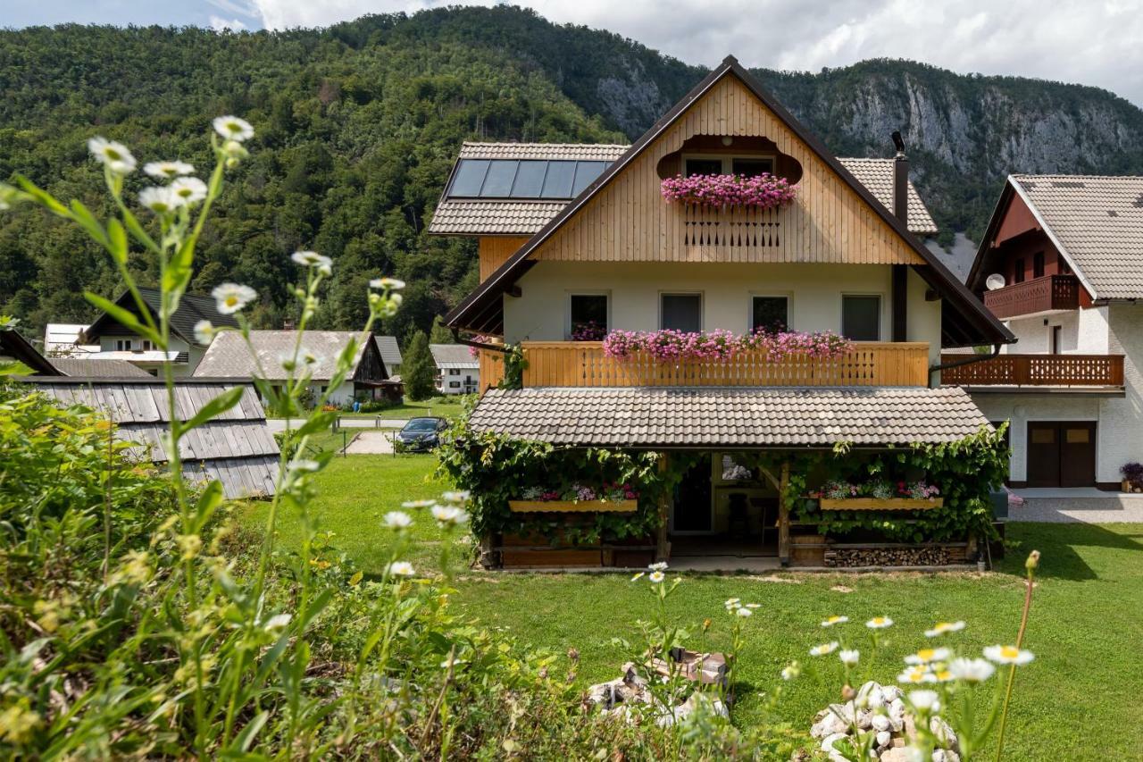 Trisa Apartments Bohinj Buitenkant foto
