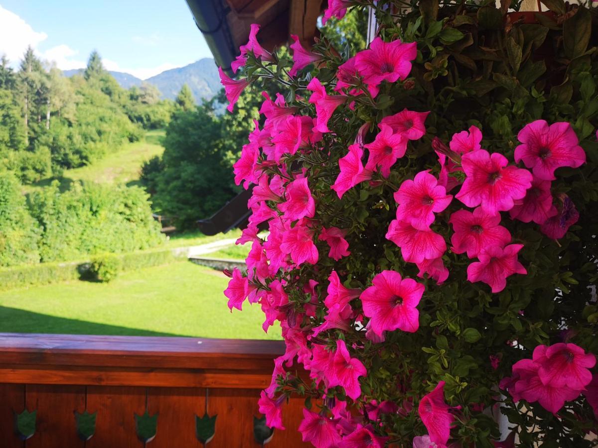 Trisa Apartments Bohinj Buitenkant foto